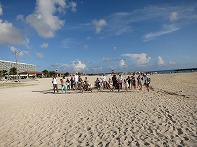 Summer Camp in Okinawa 2014 Photos