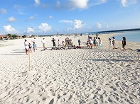 Summer Camp in Okinawa 2014 Photos