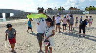 Summer Camp in Okinawa 2014 Photos