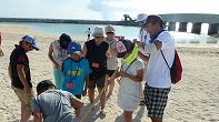 Summer Camp in Okinawa 2014 Photos