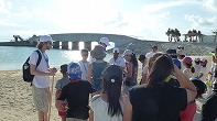 Summer Camp in Okinawa 2014 Photos