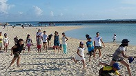 Summer Camp in Okinawa 2014 Photos