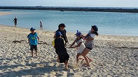 Summer Camp in Okinawa 2014 Photos