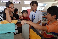 Summer Camp in Okinawa 2014 Photos