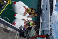 Summer Camp in Okinawa 2014 Photos