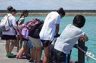 Summer Camp in Okinawa 2014 Photos