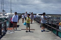 Summer Camp in Okinawa 2014 Photos