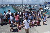 Summer Camp in Okinawa 2014 Photos