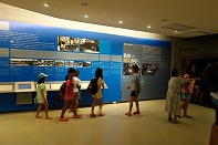 Summer Camp in Okinawa 2014 Photos