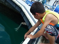 Summer Camp in Okinawa 2014 Photos