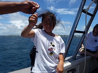 Summer Camp in Okinawa 2014 Photos