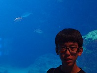 Summer Camp in Okinawa 2014 Photos