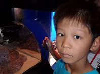 Summer Camp in Okinawa 2014 Photos