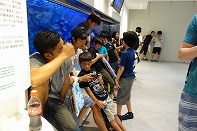 Summer Camp in Okinawa 2014 Photos