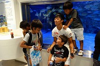 Summer Camp in Okinawa 2014 Photos