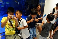 Summer Camp in Okinawa 2014 Photos