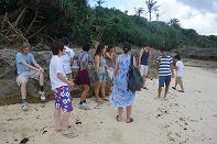 Summer Camp in Okinawa 2014 Photos