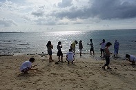 Summer Camp in Okinawa 2014 Photos