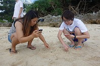 Summer Camp in Okinawa 2014 Photos