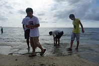 Summer Camp in Okinawa 2014 Photos