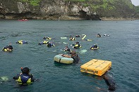 Summer Camp in Okinawa 2014 Photos