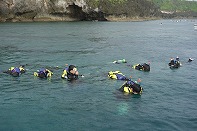 Summer Camp in Okinawa 2014 Photos