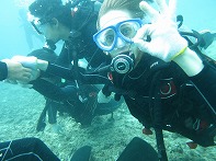 Summer Camp in Okinawa 2014 Photos