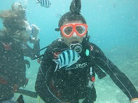 Summer Camp in Okinawa 2014 Photos