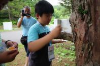 サマーキャンプ in 北海道 2016 写真