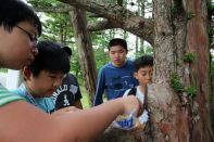 サマーキャンプ in 北海道 2016 写真