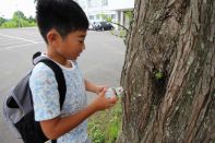 サマーキャンプ in 北海道 2016 写真