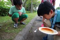 サマーキャンプ in 北海道 2016 写真