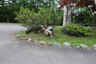 サマーキャンプ in 北海道 2016 写真