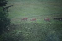 サマーキャンプ in 北海道 2016 写真