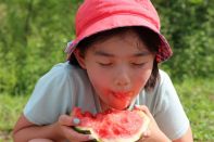 サマーキャンプ in 北海道 2016 写真