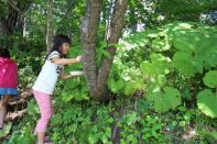 サマーキャンプ in 北海道 2016 写真