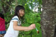 サマーキャンプ in 北海道 2016 写真