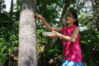 サマーキャンプ in 北海道 2016 写真