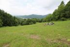 サマーキャンプ in 北海道 2016 写真