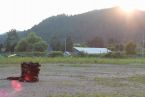 サマーキャンプ in 北海道 2016 写真