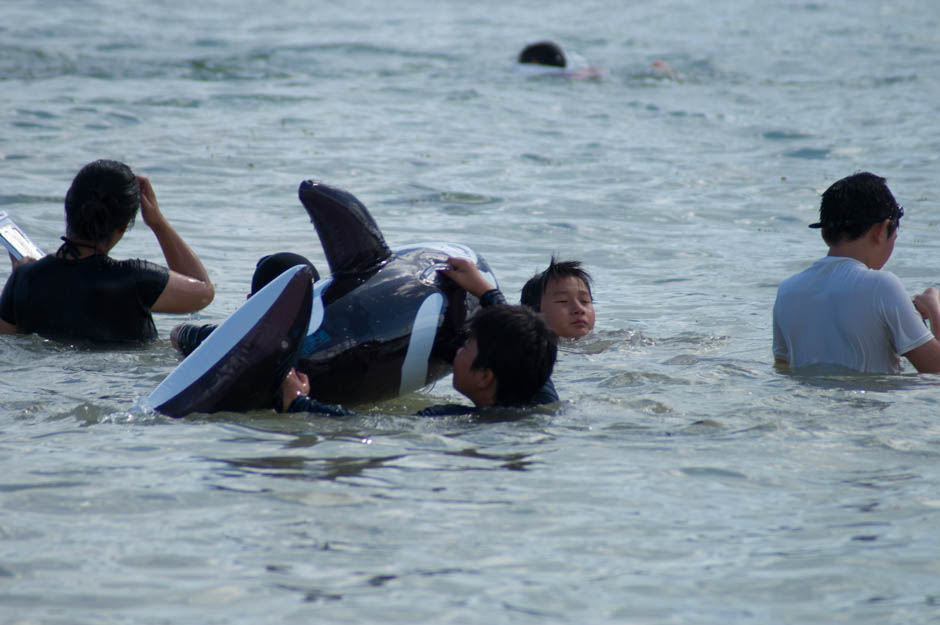 サマーキャンプ in 沖縄 2016 写真