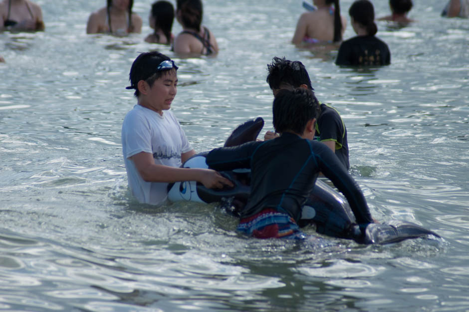 サマーキャンプ in 沖縄 2016 写真