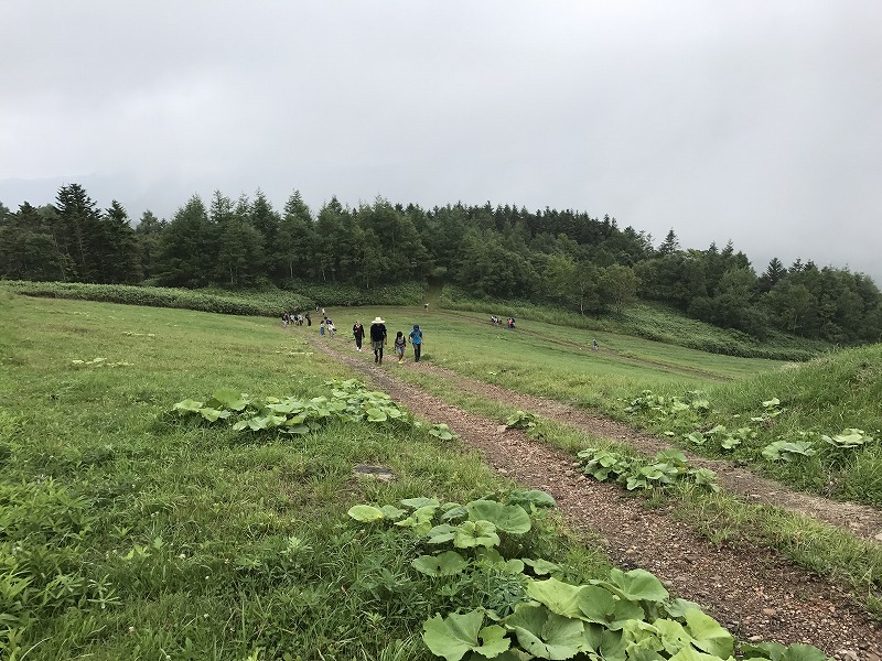 サマーキャンプ2017北海道の写真