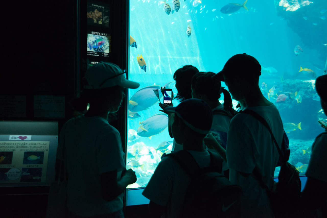 サマーキャンプ in 沖縄 2017 写真