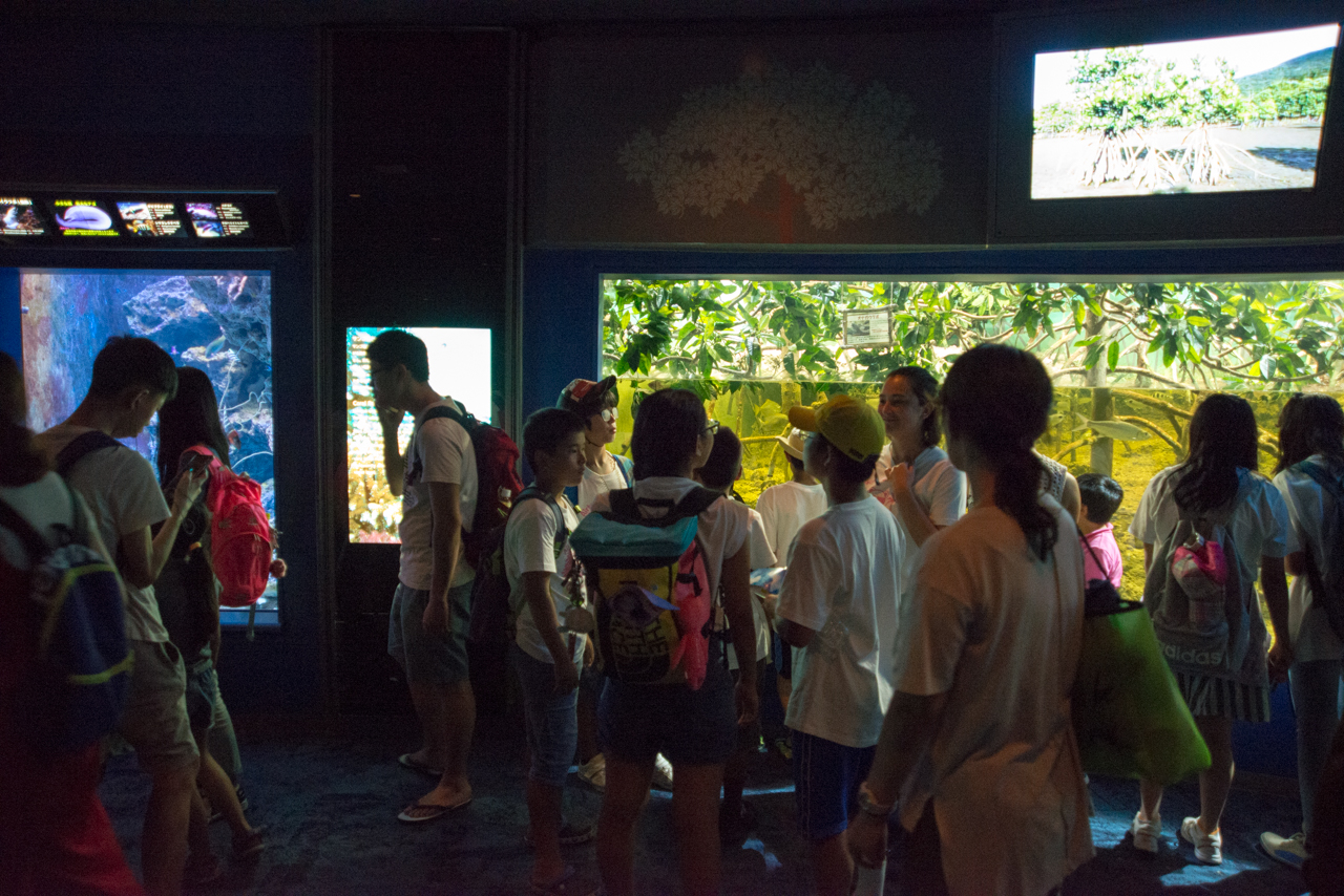 サマーキャンプ in 沖縄 2017 写真