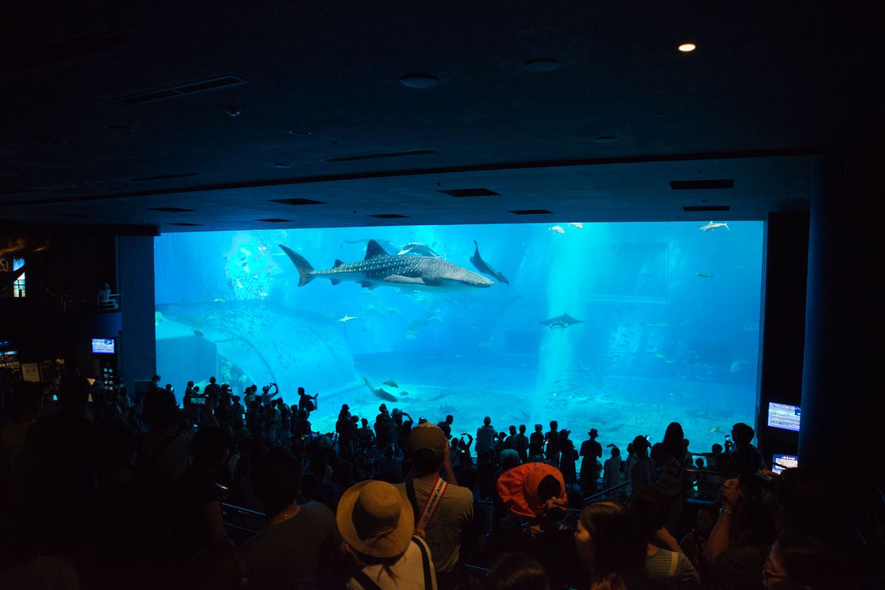 サマーキャンプ in 沖縄 2017 写真