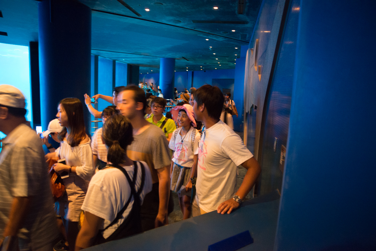 サマーキャンプ in 沖縄 2017 写真