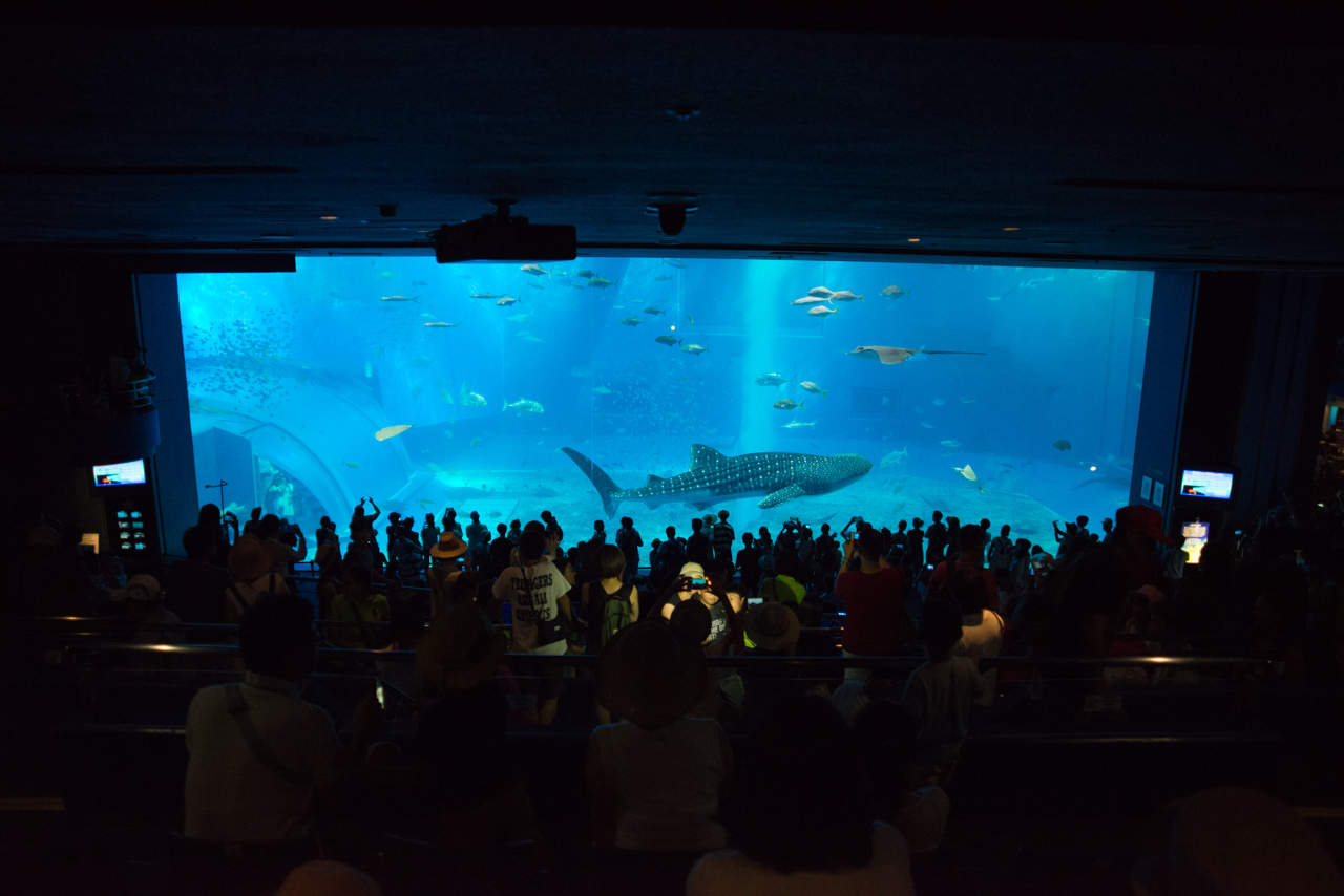 サマーキャンプ in 沖縄 2017 写真