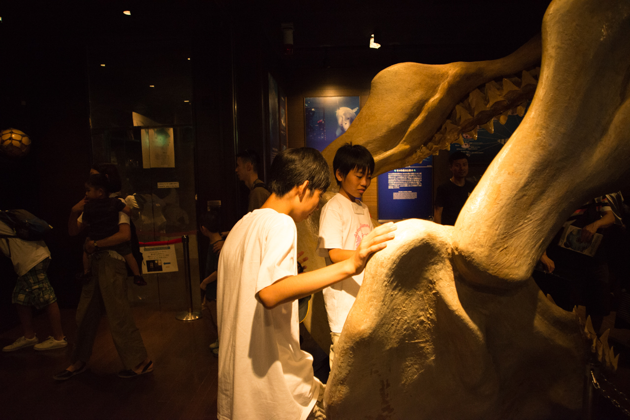 サマーキャンプ in 沖縄 2017 写真