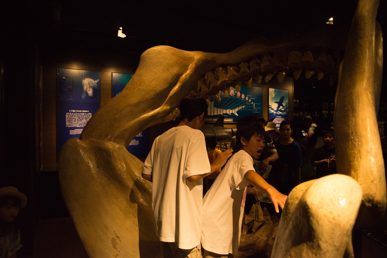 サマーキャンプ in 沖縄 2017 写真